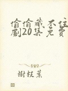 偷偷藏不住广播剧20集免费收听