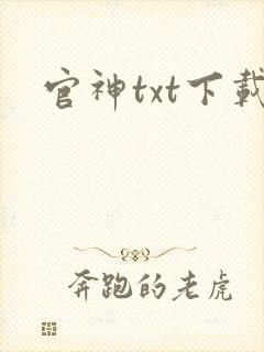 官神txt下载