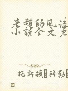 老赵的风流人生小说全文免费阅读封面