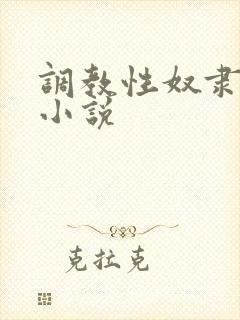 调教性奴隶母狗小说