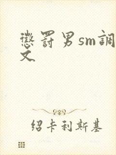惩罚男sm调教文