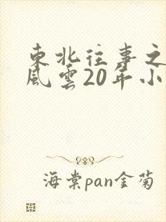 东北往事之黑道风云20年小说