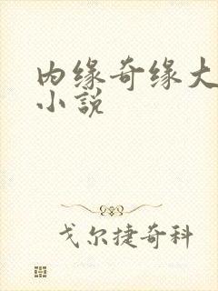 内缘奇缘大团圆小说