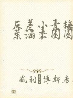 反差小青梅不经叶涵季园园封面