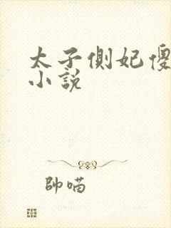 太子侧妃傻乎乎小说
