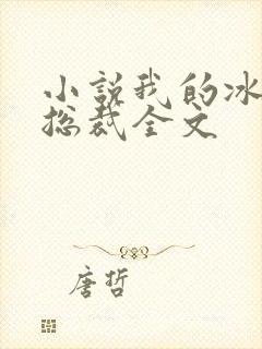 小说我的冰山女总裁全文