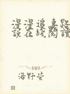漫漫追妻路 小说在线阅读封面