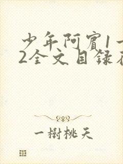 少年阿宾1一72全文目录在线