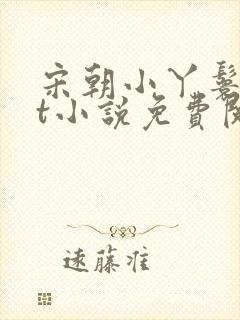 宋朝小丫鬟txt小说免费阅读封面