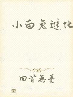 小白兔进化史封面
