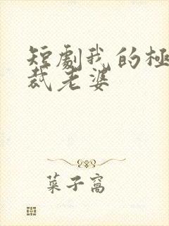 短剧我的极品总裁老婆
