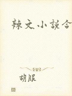 辣文小说合集