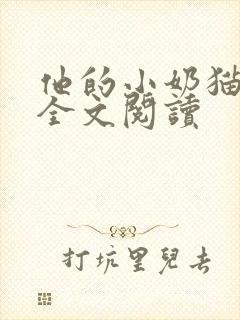 他的小奶猫小说全文阅读