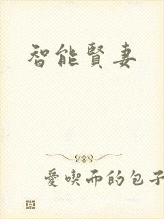 智能贤妻