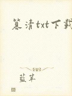 篡清txt下载封面