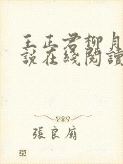 王正君柳月瑶小说在线阅读全文