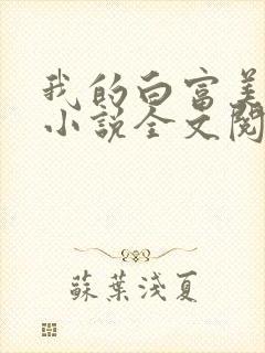 我的白富美老婆小说全文阅读封面