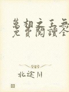 万相之王无弹窗免费阅读全文