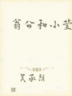 翁公和小莹封面