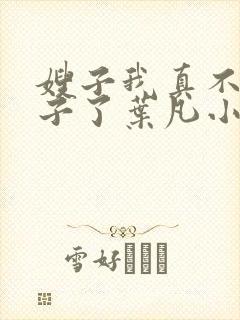 嫂子我真不是傻子了叶凡小说精校