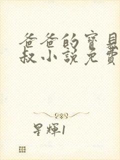 爸爸的宝贝李叔叔小说免费阅读