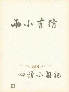 两小有猜封面