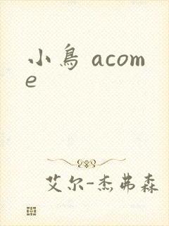 小鸟 acome封面