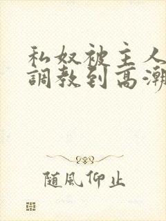 私奴被主人玩弄调教到高潮小说