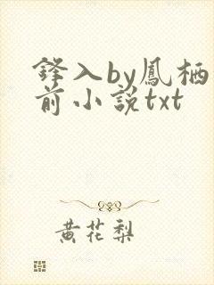 锋入by凤栖堂前小说txt