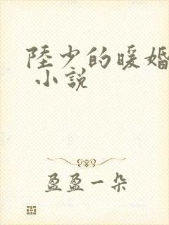 陆少的暖婚新妻 小说封面