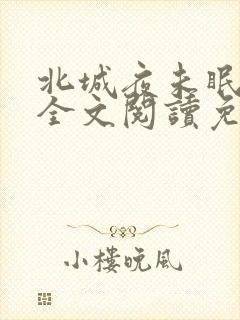 北城夜未眠小说全文阅读免费