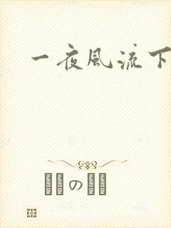 一夜风流下载封面