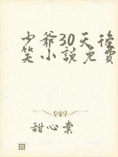 少爷30天后会笑小说免费全本封面