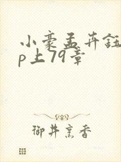 小豪孟卉钰慧三p上79章封面