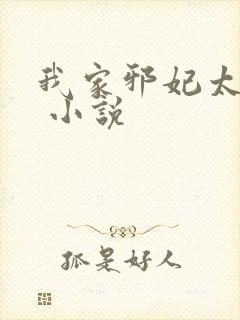 我家邪妃太嚣张 小说