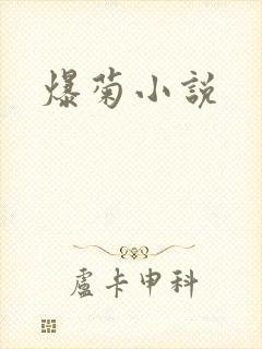 爆菊小说