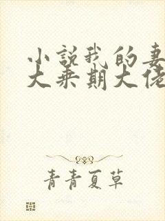 小说我的妻子是大乘期大佬在线阅读
