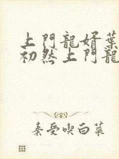 上门龙婿叶辰萧初然上门龙婿封面