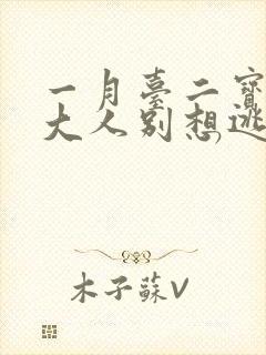 一月台二宝老婆大人别想逃大结局封面