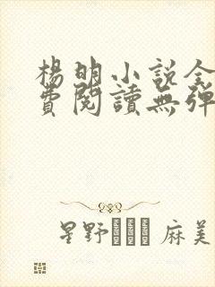 杨明小说全文免费阅读无弹窗