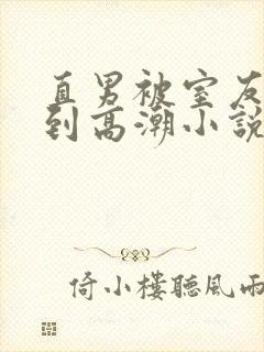直男被室友调教到高潮小说