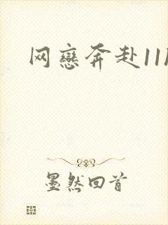 网恋奔赴11h