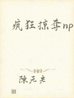 疯狂掠夺npc