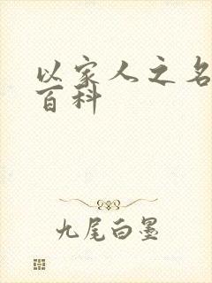 以家人之名百度百科封面
