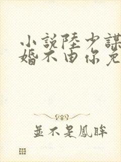 小说陆少谋妻之婚不由你免费阅读