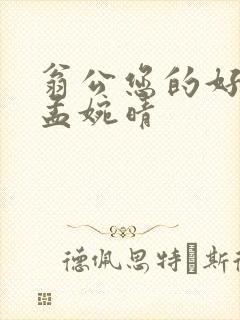 翁公您的好长呀孟婉晴封面