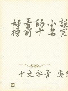 好看的小说排行榜前十名完结版