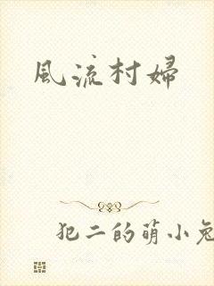 风流村妇封面