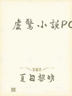 虚惊小说PO封面