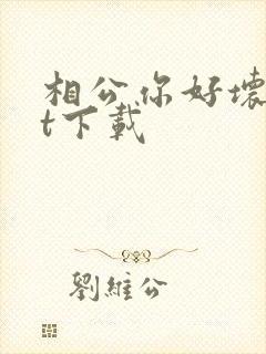 相公你好坏txt下载